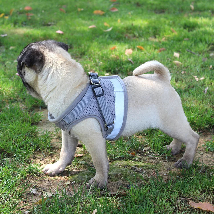 Dog Harness Ergonomic Adjustable Water-Resistant Quick-Release