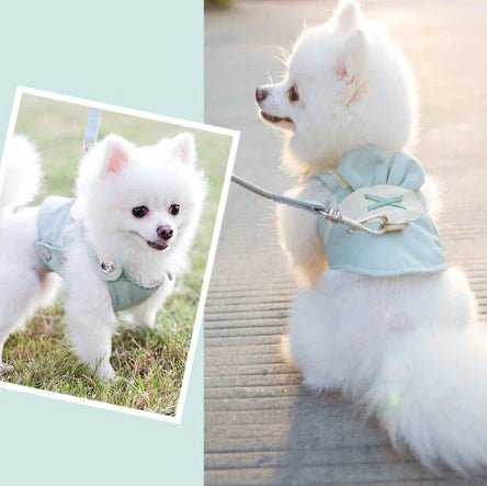 Dog Harness & Leash Breathable Easy On Durable Fabric