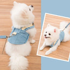 Dog Harness & Leash Breathable Easy On Durable Fabric