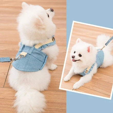 Dog Harness & Leash Breathable Easy On Durable Fabric