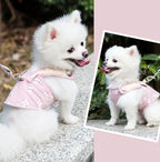 Dog Harness & Leash Breathable Easy On Durable Fabric