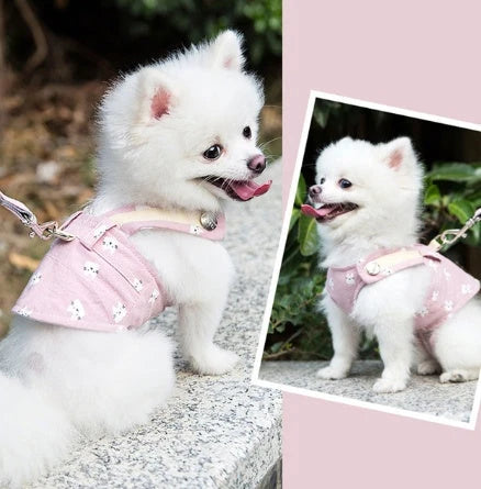Dog Harness & Leash Breathable Easy On Durable Fabric