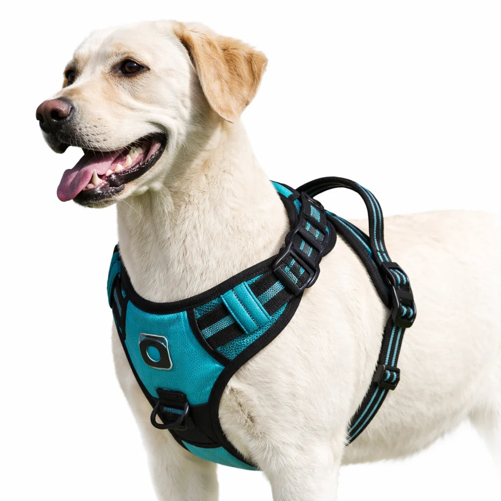 Dog Harness No-Pull Front-Clip Padded & Breathable Adjustable Fit