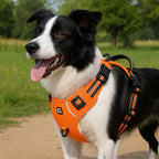 Dog Harness No-Pull Front-Clip Padded & Breathable Adjustable Fit