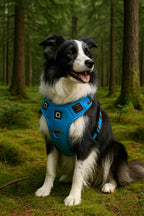 Dog Harness No-Pull Front-Clip Padded & Breathable Adjustable Fit