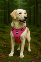 Dog Harness No-Pull Front-Clip Padded & Breathable Adjustable Fit