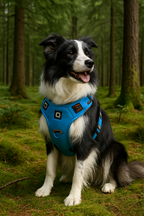 Dog Harness No-Pull Soft Padded Adjustable Fit