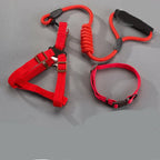 Dog Harness Nylon Adjustable Metal D-Ring
