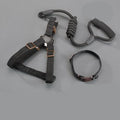 Dog Harness Nylon Adjustable Metal D-Ring