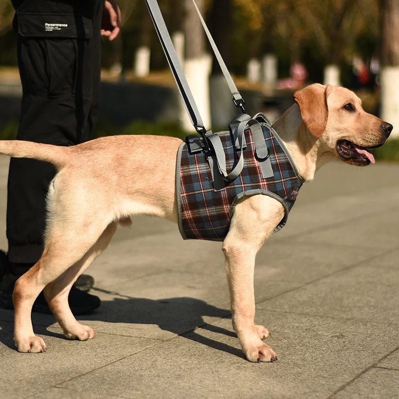 Dog Harness Orthopedic Front & Rear Support Adjustable Straps
