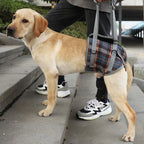 Dog Harness Orthopedic Front & Rear Support Adjustable Straps