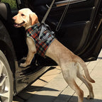 Dog Harness Orthopedic Front & Rear Support Adjustable Straps