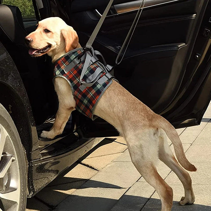 Dog Harness Orthopedic Front & Rear Support Adjustable Straps