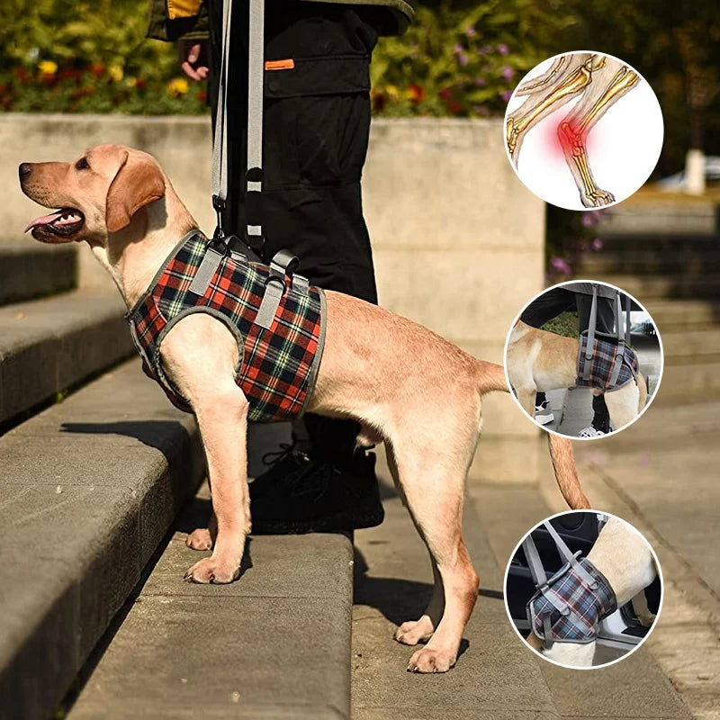Dog Harness Orthopedic Front & Rear Support Adjustable Straps