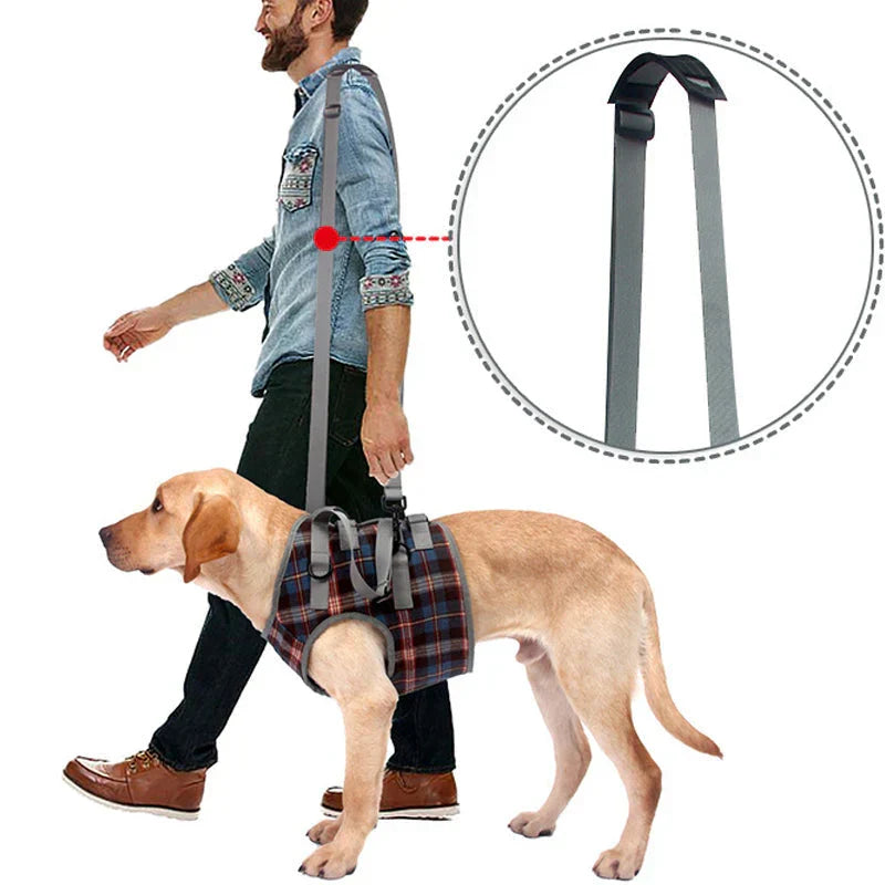 Dog Harness Orthopedic Front & Rear Support Adjustable Straps