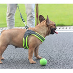 Dog Harness Reflective Mesh Adjustable Straps & Padded Handle