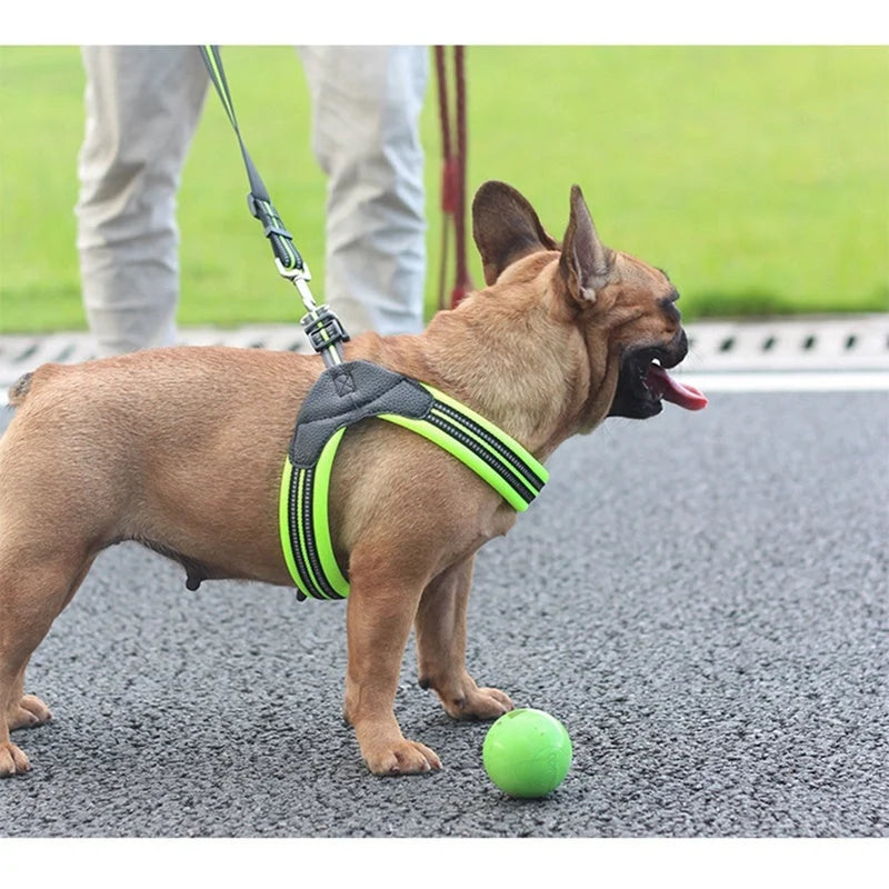 Dog Harness Reflective Mesh Adjustable Straps & Padded Handle
