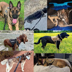 Dog Harness Tactical Quick-Release Handle