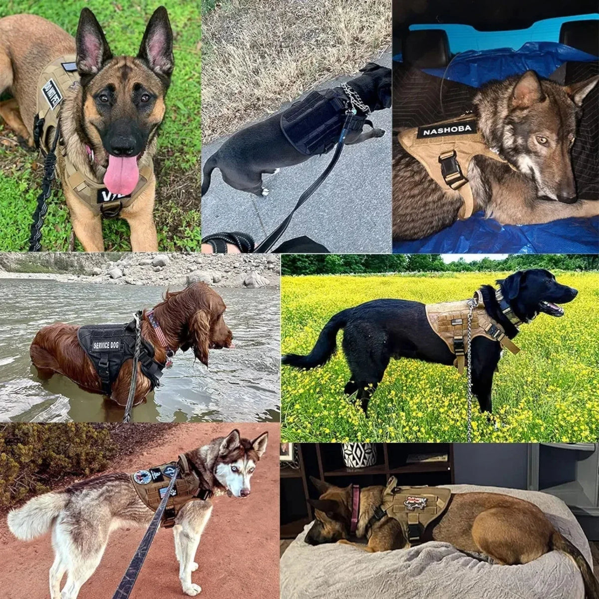 Dog Harness Tactical Quick-Release Handle