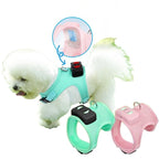Dog Harness Wearable Cooling & LED Light