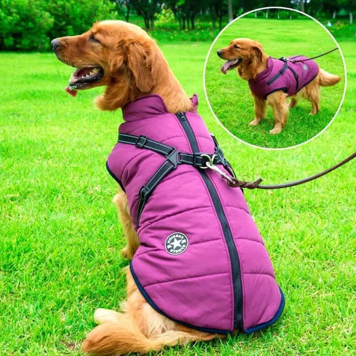Dog Jacket Waterproof & Sherpa-Fleece Lined Built-In Harness