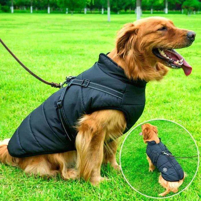 Dog Jacket Waterproof & Sherpa-Fleece Lined Built-In Harness