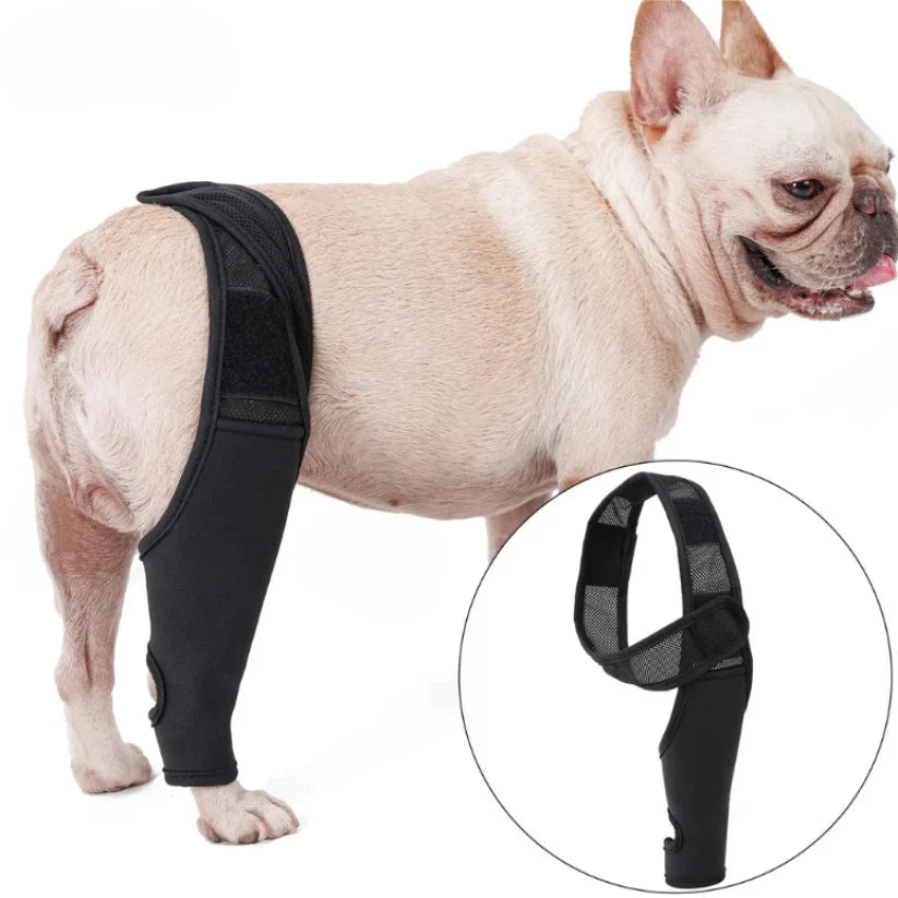 Dog Knee Brace Neoprene Breathable Adjustable Front & Rear