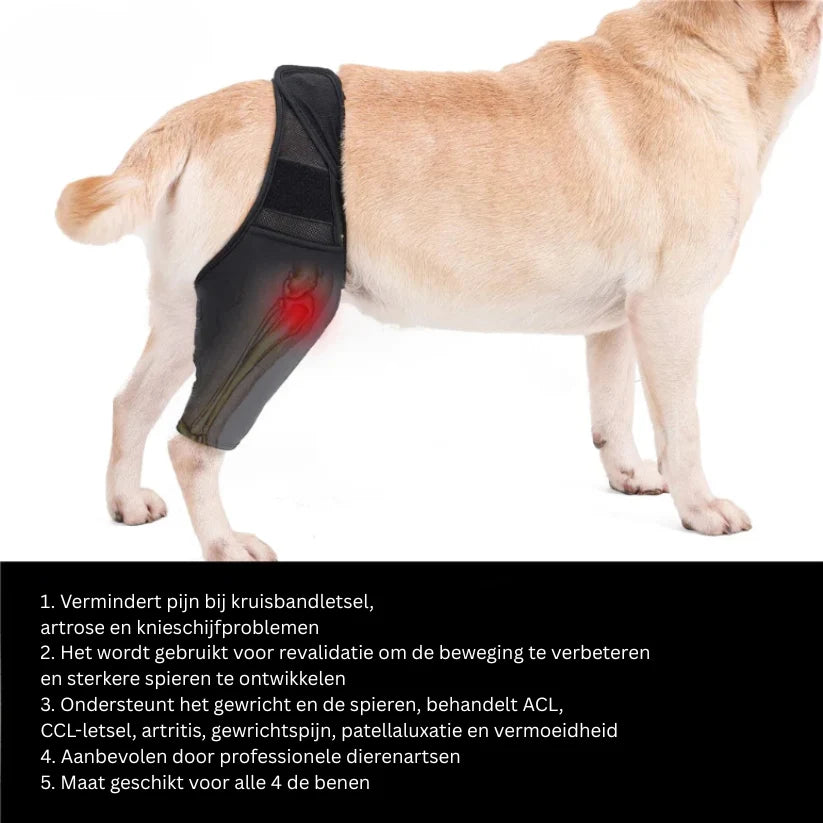 Dog Knee Brace Neoprene Breathable Adjustable Front & Rear