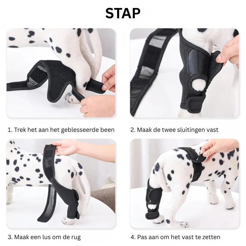 Dog Knee Brace Neoprene Breathable Adjustable Front & Rear