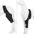 Dog Knee Brace Neoprene Breathable Adjustable Front & Rear