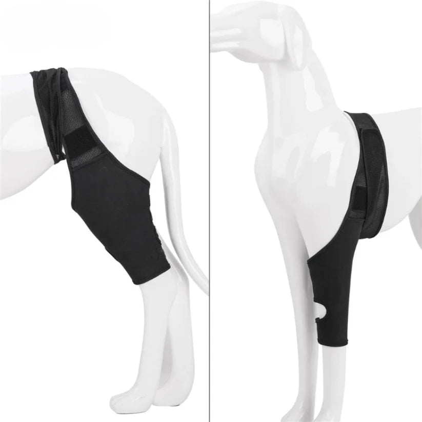 Dog Knee Brace Neoprene Breathable Adjustable Front & Rear