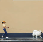 Dog Leash Automatic Retractable 8.5 Ft Non-Slip Handle