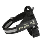 Dog Leash & Chest Harness Set Comfort-Fit Pressure-Distributing Nylon