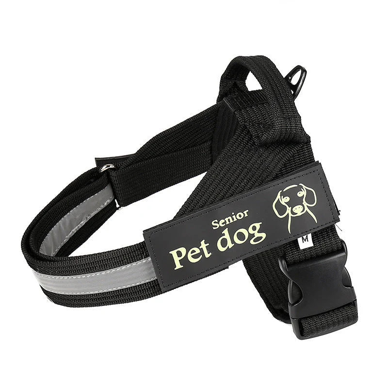 Dog Leash & Chest Harness Set Comfort-Fit Pressure-Distributing Nylon