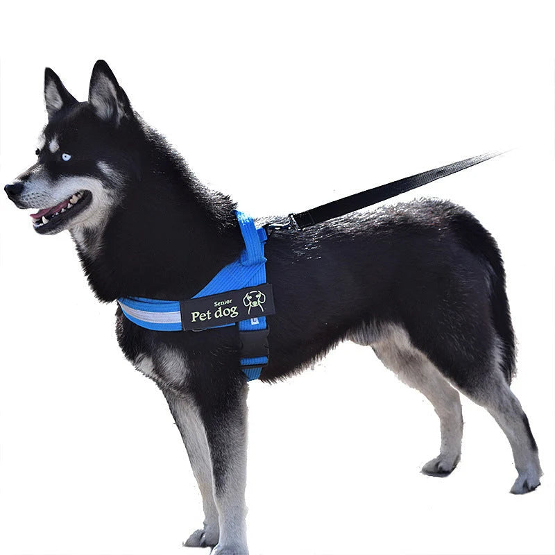 Dog Leash & Chest Harness Set Comfort-Fit Pressure-Distributing Nylon