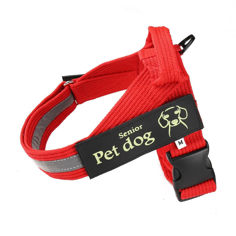 Dog Leash & Chest Harness Set Comfort-Fit Pressure-Distributing Nylon