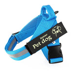 Dog Leash & Chest Harness Set Comfort-Fit Pressure-Distributing Nylon