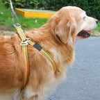 Dog Leash Chew-Proof Steel Core & Carabiner Hooks