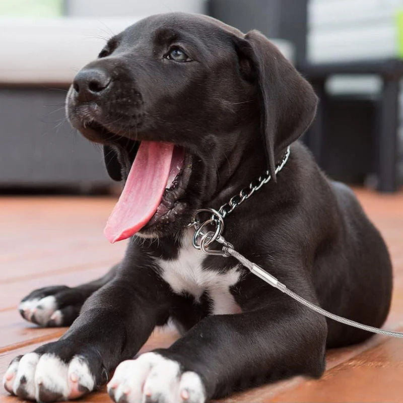 Dog Leash Chew-Proof Steel Core & Carabiner Hooks