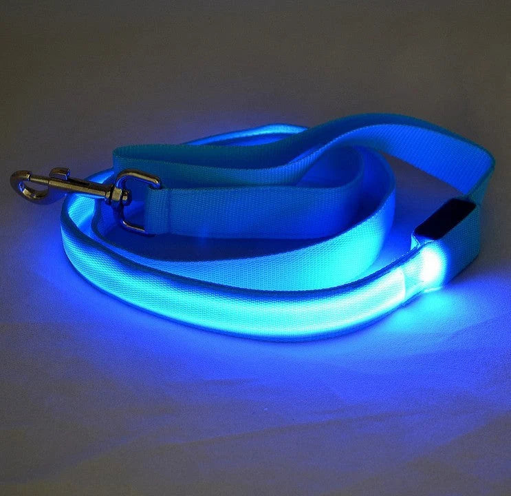 Dog Leash Rechargeable LED Nylon 120cm