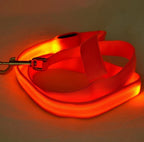 Dog Leash Rechargeable LED Nylon 120cm
