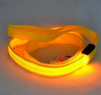 Dog Leash Rechargeable LED Nylon 120cm