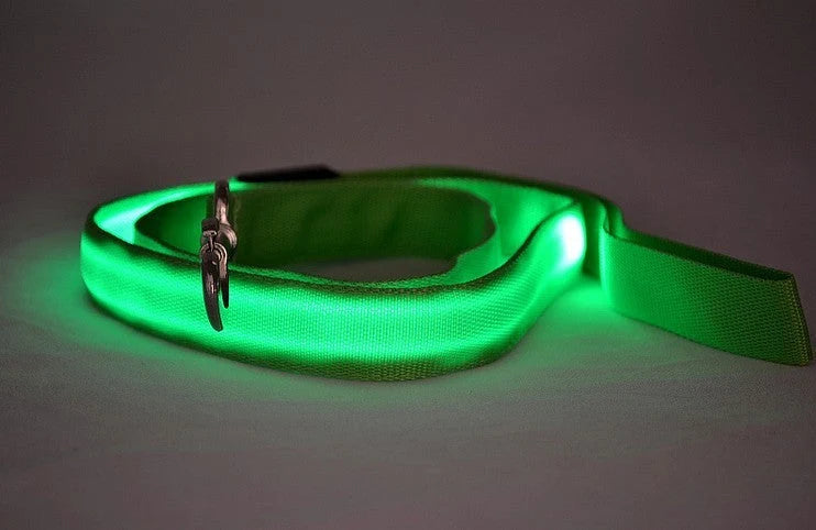 Dog Leash Rechargeable LED Nylon 120cm
