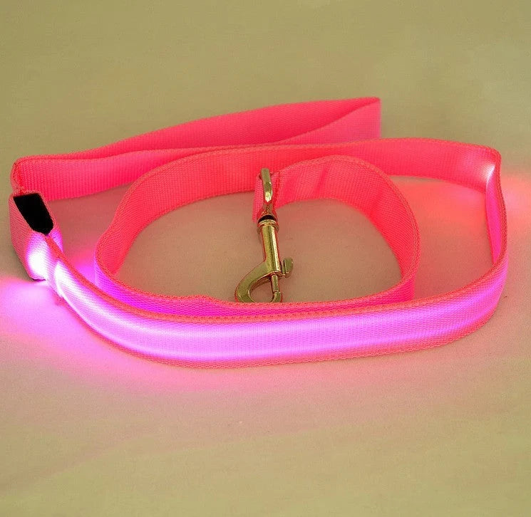 Dog Leash Rechargeable LED Nylon 120cm