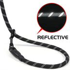 Dog Leash Reflective Nylon Double Rope Padded Handle