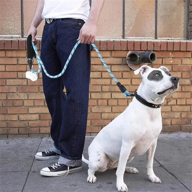 Dog Leash Reflective Nylon Double Rope Padded Handle