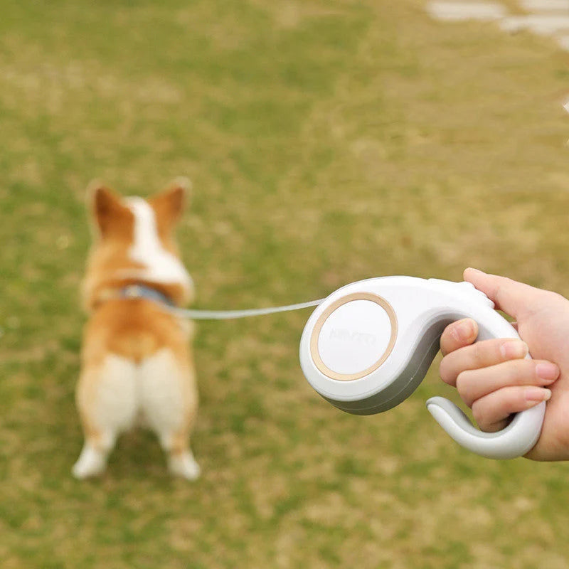 Dog Leash Retractable Up To 9.8 Feet Non-Slip Handle