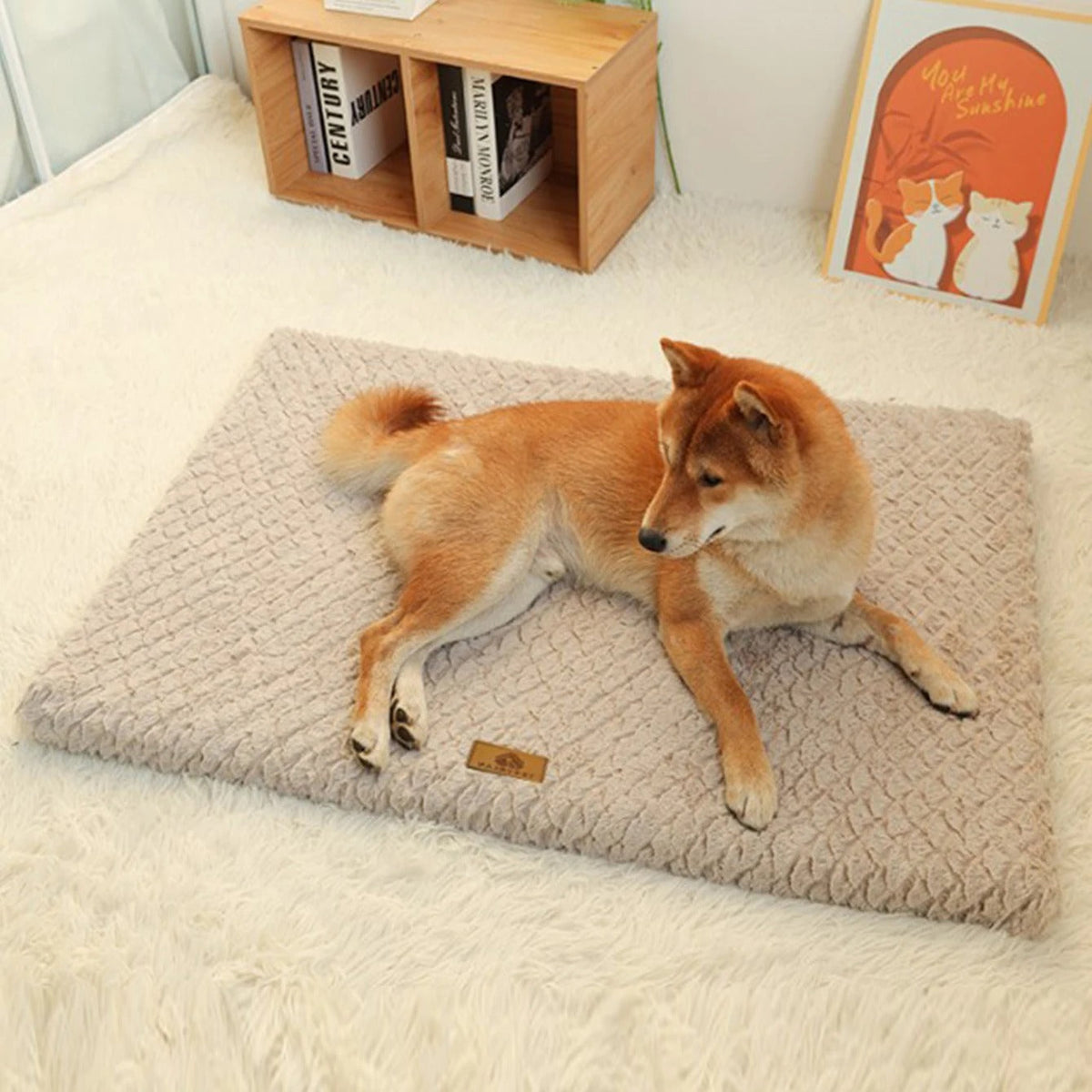 Dog Mat Orthopedic Support & Machine Washable