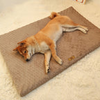 Dog Mat Orthopedic Support & Machine Washable