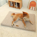 Dog Mat Thick Cushioned Machine-Washable Travel-Ready